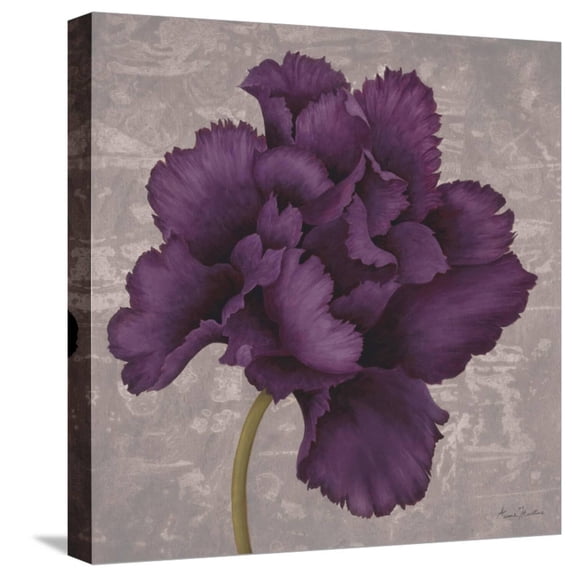 Art.com Black Plum 1 Stretched Canvas Print Wall Art by Ariane Martine, 16" x 16"