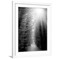 thumbnail image 1 of Art.com Black and White Winter Forest, Vertical Landscape Photographic Print by SSokolov, White Frame Wall Art, 32" x 40", 1 of 5