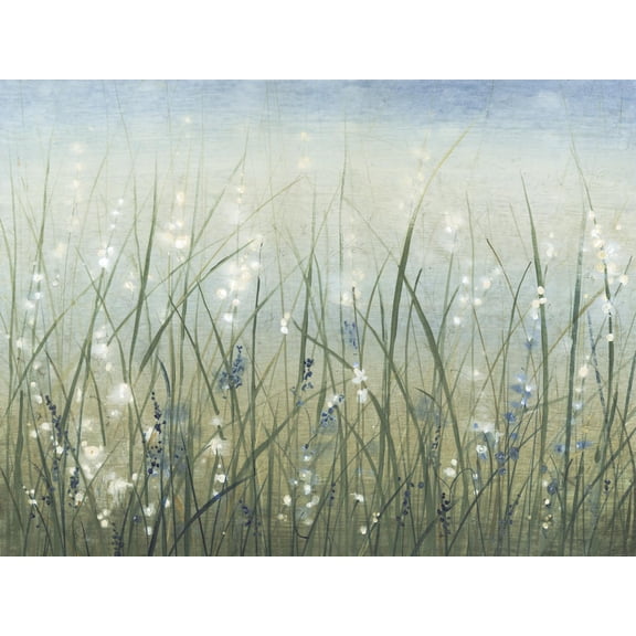 Art.com Bliss I Art Print by Tim O'toole, 16" x 12"