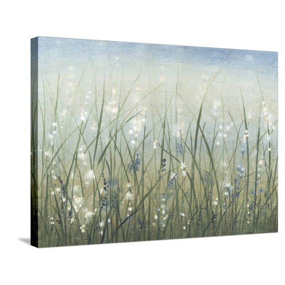 Art.com Bliss I Stretched Canvas Print Wall Art by Tim OToole, 32" x 24"
