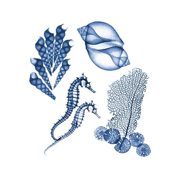 Art.com Blue Assortment One Art Print by Albert Koetsier, 16" x 16"
