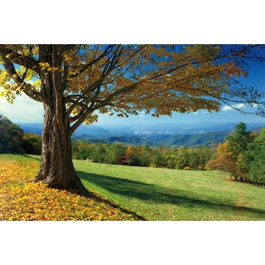 Art.com Blue Ridge Beauty Photographic Print by Mike Jones, 18" x 12"