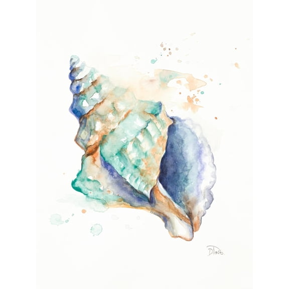 Art.com Blue Shell Art Print by Patricia Pinto, 12" x 16"