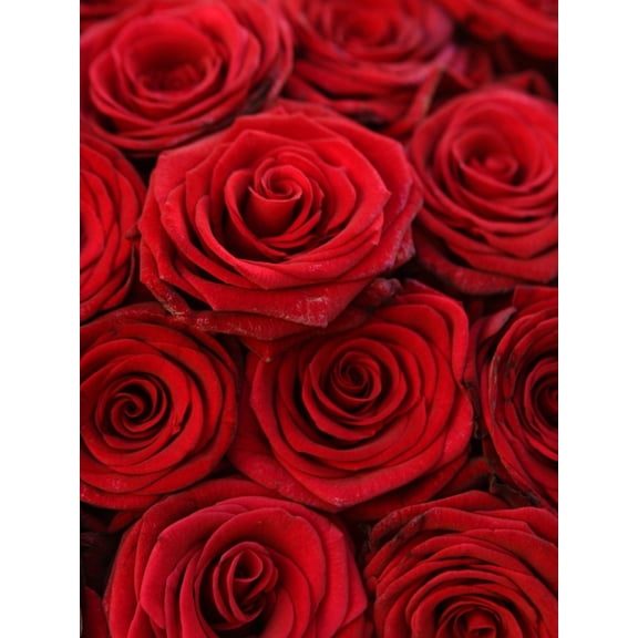 Art.com Bouquet of Red Roses Photographic Print by Owen Franken, 24" x 32"