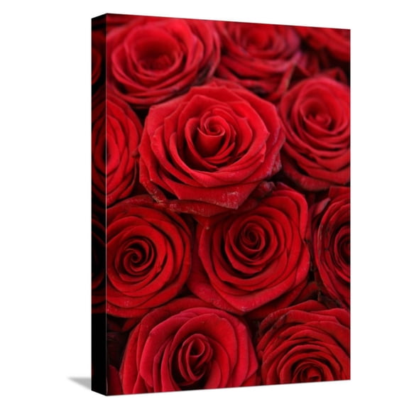 Art.com Bouquet of Red Roses Stretched Canvas Print Wall Art by Owen Franken, 12" x 16"