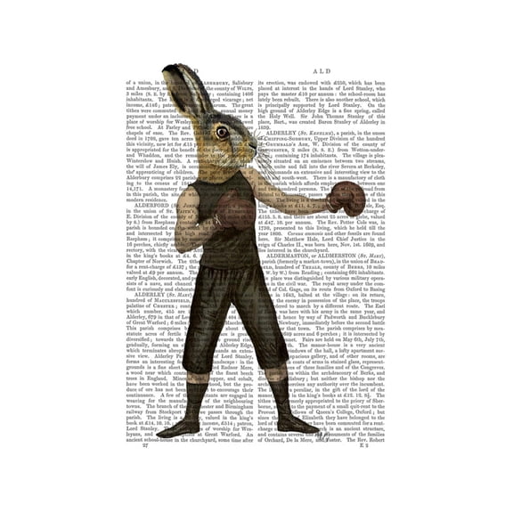 Art.com Boxing Hare Art Print by Fab Funky, 12" x 16"