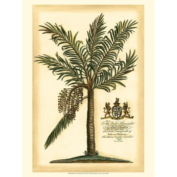 Art.com British Colonial Palm II Art Print, 12" x 16"