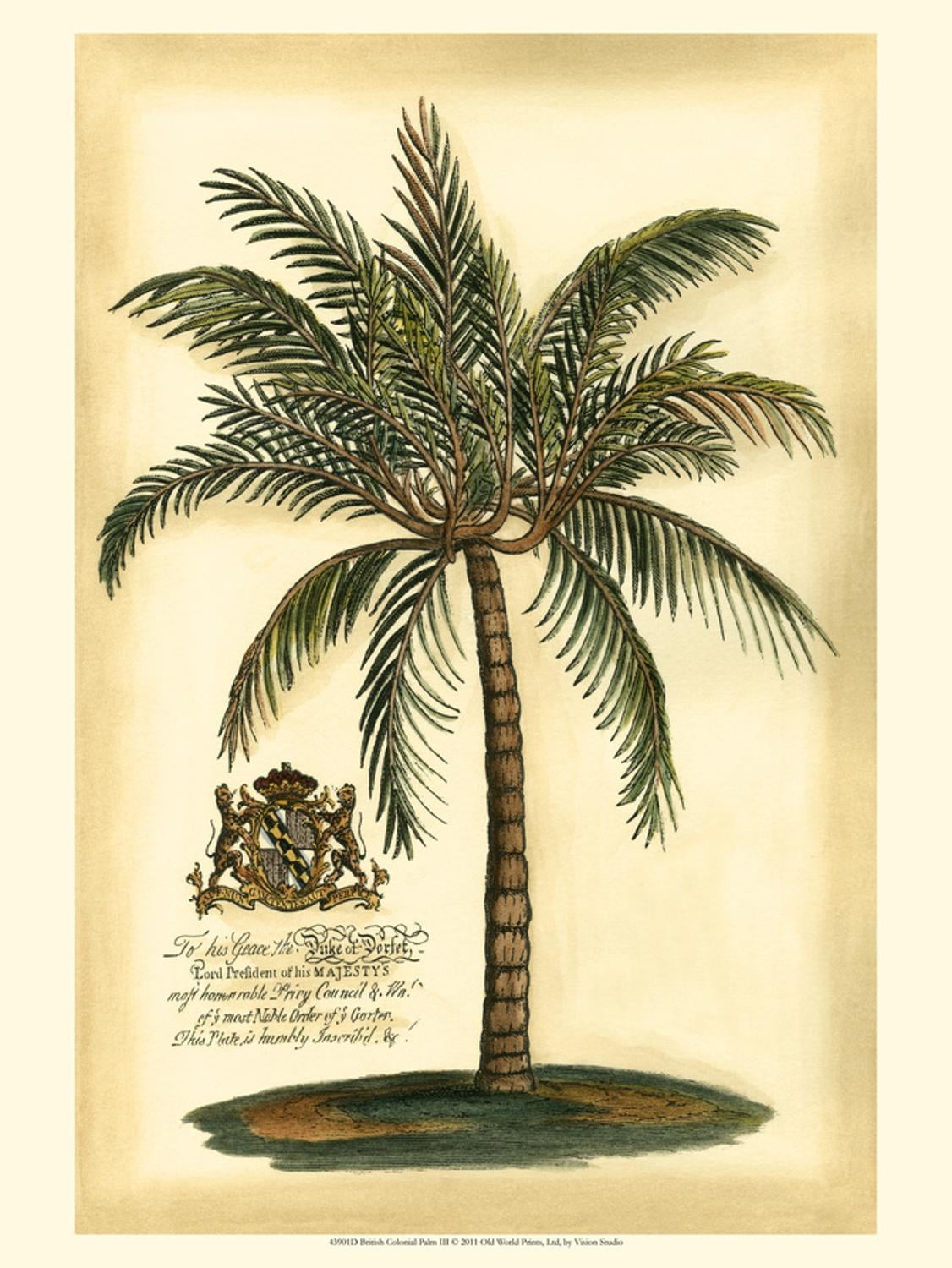 British Colonial Palm III Unframed Art Print, 12" x 16"