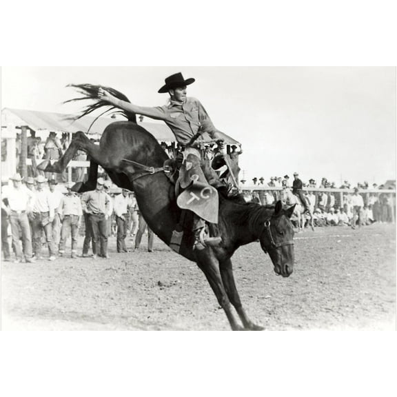 Art.com Bucking Bronco Photo Art Print, 18" x 12"