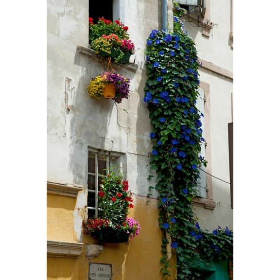 Art.com Building with Flower Pots on Each Window, Rue Des Arenes, Arles, Bouches-Du-Rhone Photographic Print, 24" x 36"