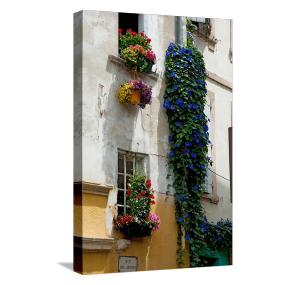 Art.com Building with Flower Pots on Each Window, Rue Des Arenes, Arles, Bouches-Du-Rhone Stretched Canvas Print Wall Art, 12" x 18"