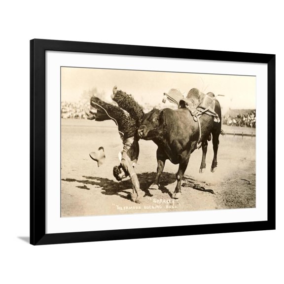 Art.com Bull Throwing Rodeo Rider Art Print, Black Frame Wall Art, 44" x 32"