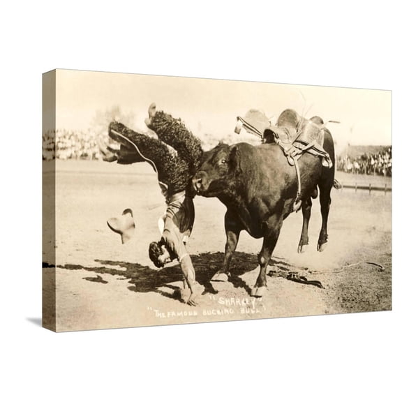 Art.com Bull Throwing Rodeo Rider Stretched Canvas Print Wall Art, 24" x 16"