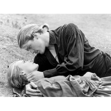 Art.com Buttercup and Westley Laying on the Grass Photo, 16" x 12"