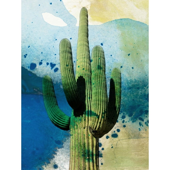 Art.com Cactus Abstract Art Print by Sisa Jasper, 12" x 16"