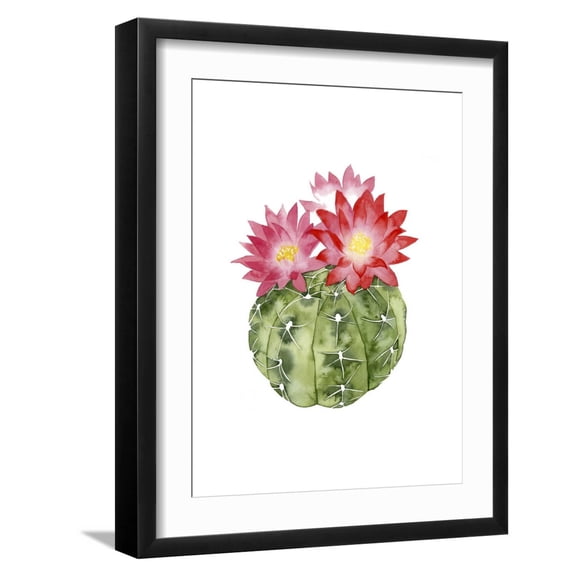 Art.com Cactus Bloom III Art Print by Grace Popp, Black Frame Wall Art, 17" x 21"