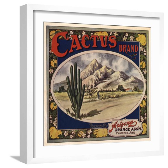 Art.com Cactus Brand - Phoenix, Arizona - Citrus Crate Label Art Print by Lantern Press, White Frame Wall Art, 21" x 21"