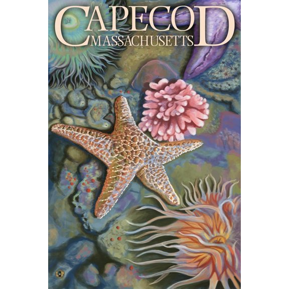 Art.com Cape Cod, Massachusetts - Tidepool Art Print by Lantern Press, 12" x 18"