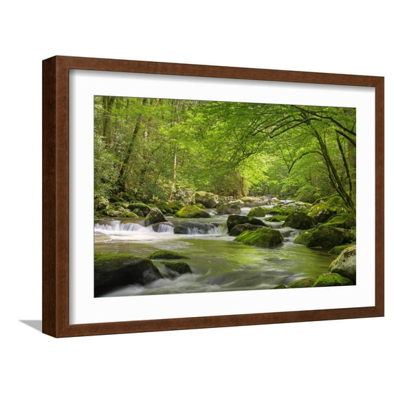 Art.com Cascading Creek, Great Smoky Mountains National Park, Tennessee, USA Photographic Print, Brown Frame Wall Art, 23" x 17"