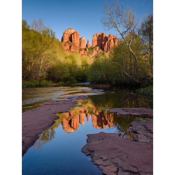 Art.com Cathedral Rock Reflection Photographic Print by Michael Blanchette Photography, 12" x 16"