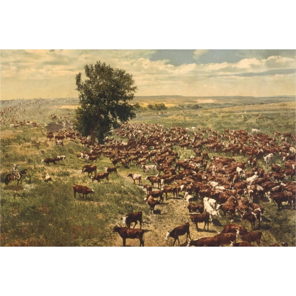 Art.com Cattle Drive Art Print, 18" x 12"