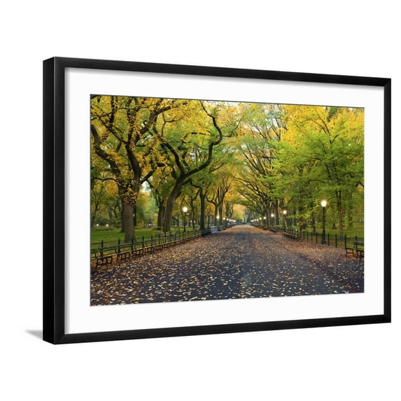 Art.com Central Park. Image of the Mall Area in Central Park, New York City, USA at Autumn. Photographic Print by Rudy Balasko, Black Frame Wall Art, 29" x 21"