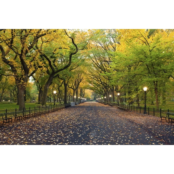 Art.com Central Park. Image of the Mall Area in Central Park, New York City, USA at Autumn. Photographic Print by Rudy Balasko, 18" x 12"