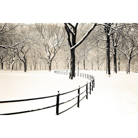 Art.com Central Park Snow Art Print by Andrew Geiger, 24" x 16"