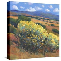 Art.com Chamisa I Stretched Canvas Print Wall Art by Tim OToole, 16" x 16"