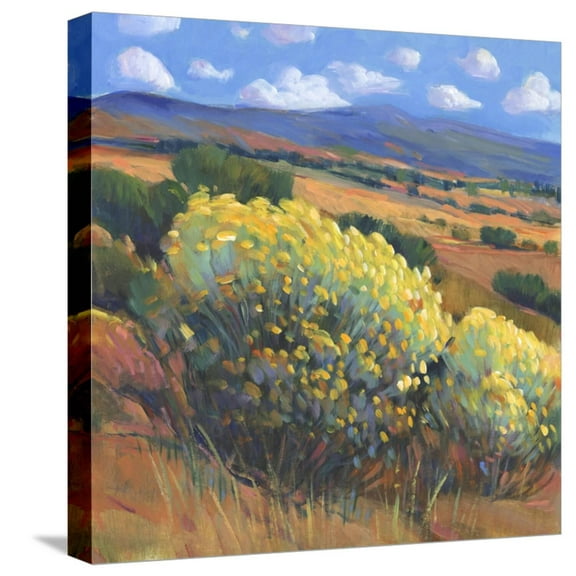 Art.com Chamisa I Stretched Canvas Print Wall Art by Tim OToole, 16" x 16"