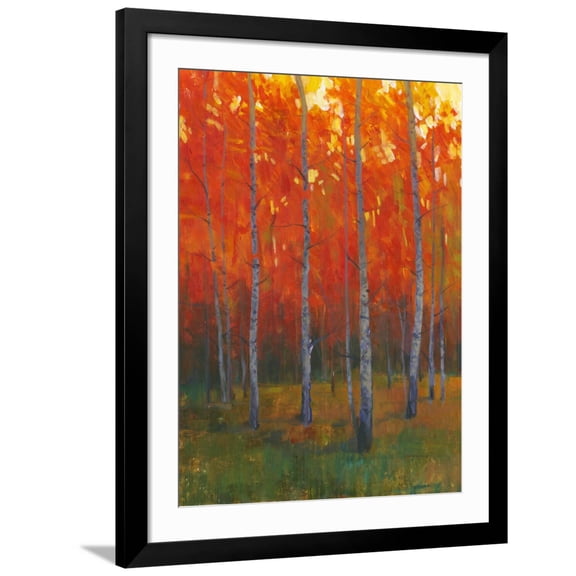 Art.com Changing Colors II Art Print by Tim O'toole, Black Frame Wall Art, 32" x 40"