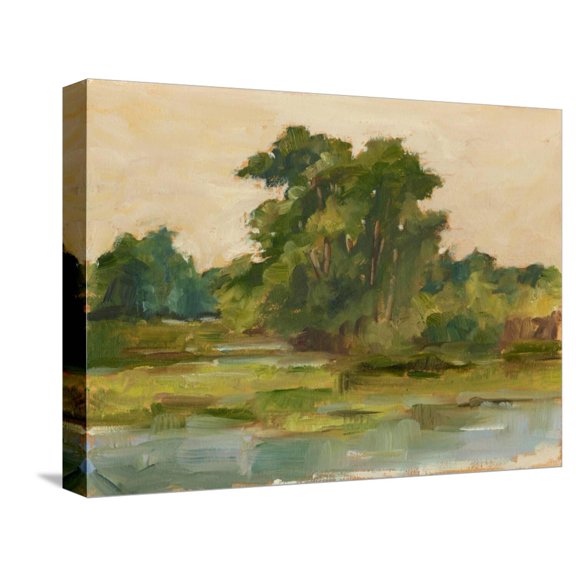 Art.com Changing Sunlight I Stretched Canvas Print Wall Art by Ethan Harper, 16" x 12"