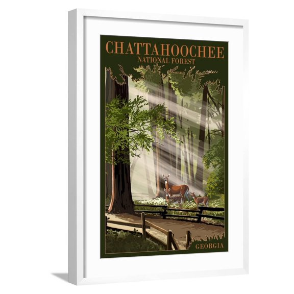 Art.com Chattahoochee National Forest, Georgia - Deer and Fawn Art Print by Lantern Press, White Frame Wall Art, 21" x 29"