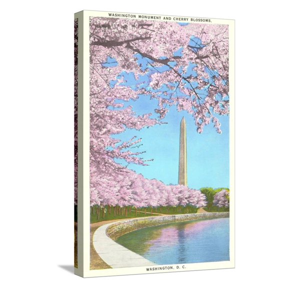 Art.com Cherry Blossoms, Washington Monument, Washington D.C. Stretched Canvas Print Wall Art, 12" x 18"