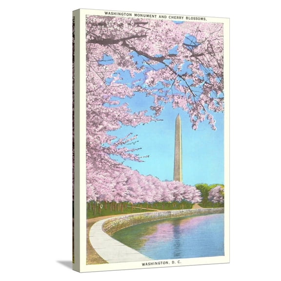Art.com Cherry Blossoms, Washington Monument, Washington D.C. Stretched Canvas Print Wall Art, 16" x 24"