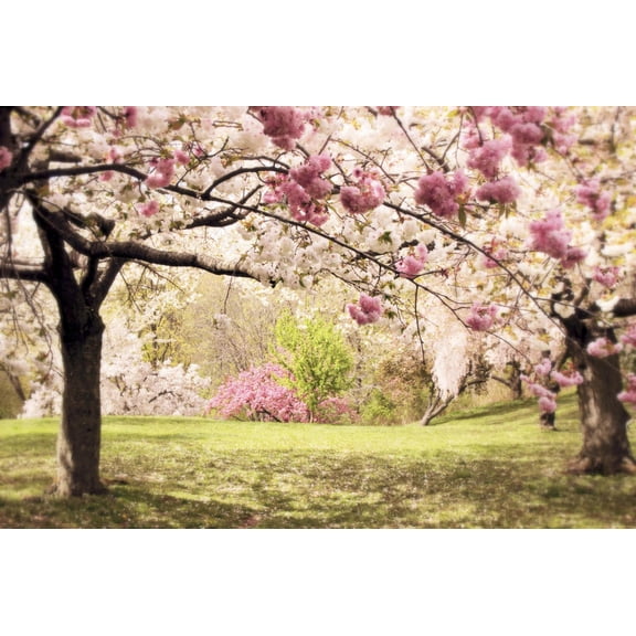 Art.com Cherry Hill Morning Giclee Print by Jessica Jenney, 18" x 12"