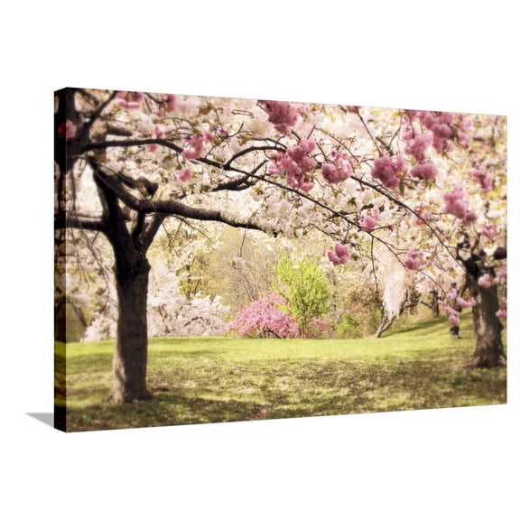 Art.com Cherry Hill Morning Stretched Canvas Print Wall Art by Jessica Jenney, 36" x 24"