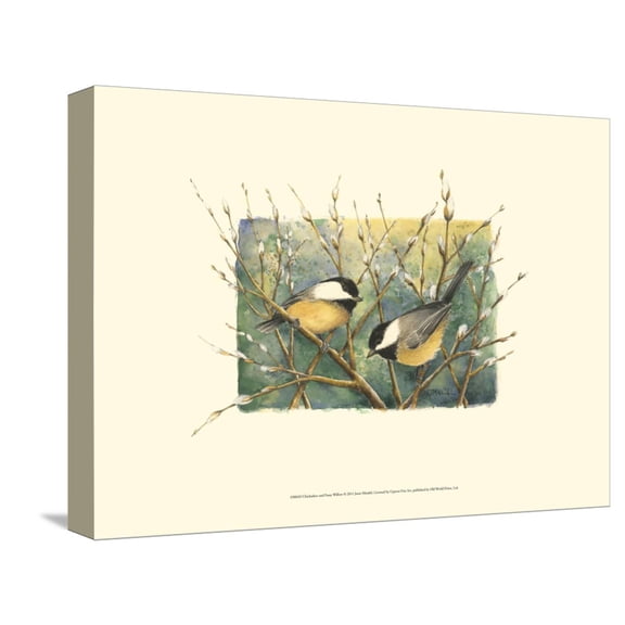 Art.com Chickadees and Pussy Willow Stretched Canvas Print Wall Art by Janet Mandel, 16" x 12"