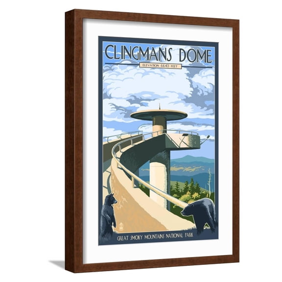Art.com Clingmans Dome - Great Smoky Mountains National Park, TN Art Print by Lantern Press, Brown Frame Wall Art, 17" x 23"