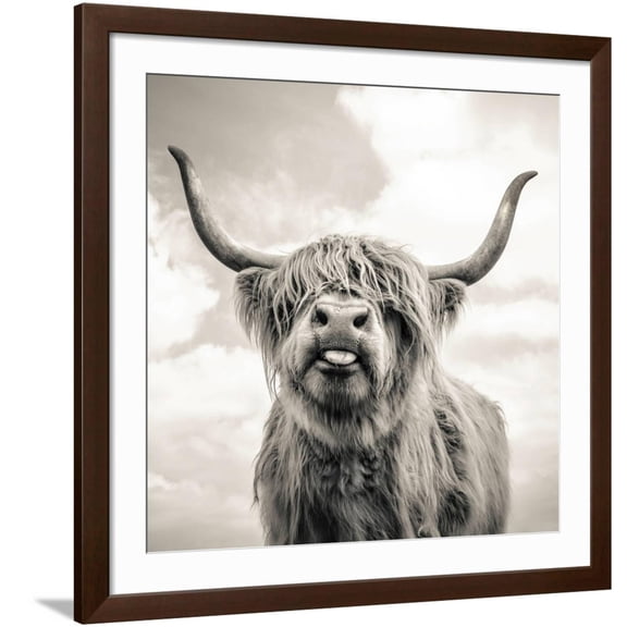 Art.com Close up portrait of Scottish Highland cattle on a farm Photographic Print by Mark Gemmell, Brown Frame Wall Art, 38" x 38"