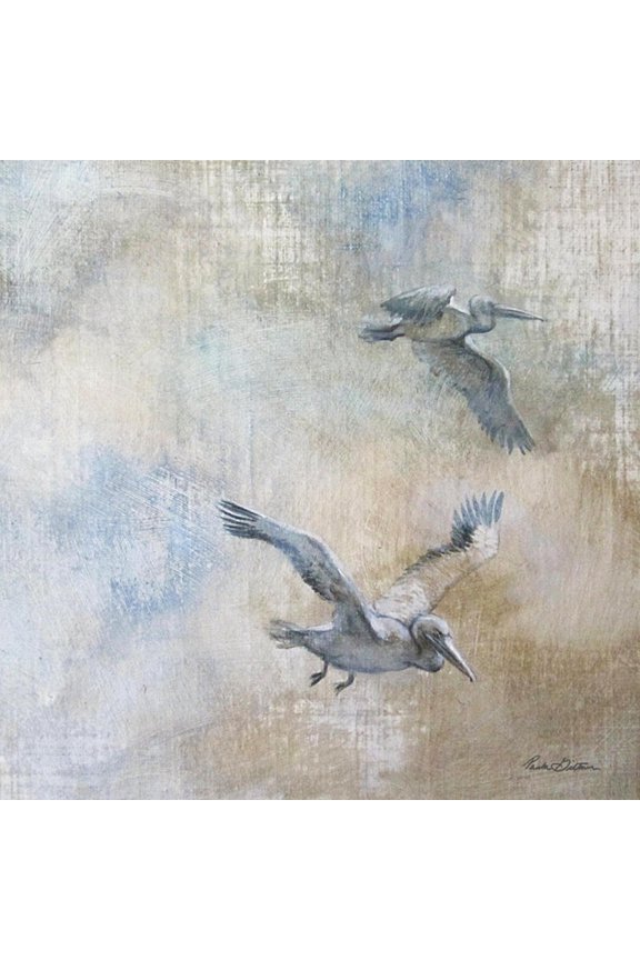 Coastal Birds II Art Print by Paula Giltner, 16" x 16"
