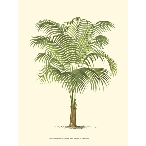 Art.com Coastal Palm III Art Print, 12" x 16"