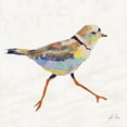 thumbnail image 1 of Art.com Coastal Plover I Linen Art Print by Jeanette Vertentes, 16" x 16", 1 of 3