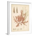 thumbnail image 1 of Art.com Coastal Relic III Art Print, White Frame Wall Art, 23" x 29", 1 of 5
