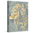 thumbnail image 1 of Art.com Collected Florals II Stretched Canvas Print Wall Art by Chariklia Zarris, 24" x 32", 1 of 4