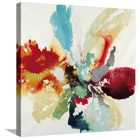 Art.com Color Expression Stretched Canvas Print Wall Art by Randy Hibberd, 24" x 24"