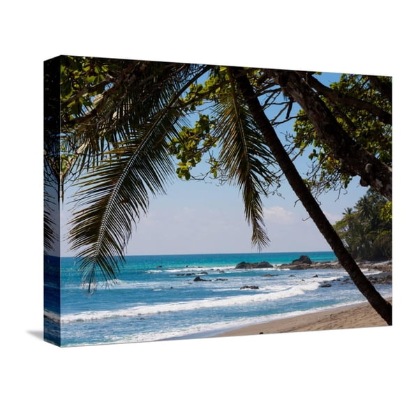 Art.com Costa Rica Beach with Tropical Palm Tree Photo Poster Print Stretched Canvas Print Wall Art, 16" x 12"