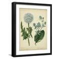 thumbnail image 1 of Art.com Cottage Florals III Art Print by Sydenham Teast Edwards, Black Frame Wall Art, 17" x 21", 1 of 5