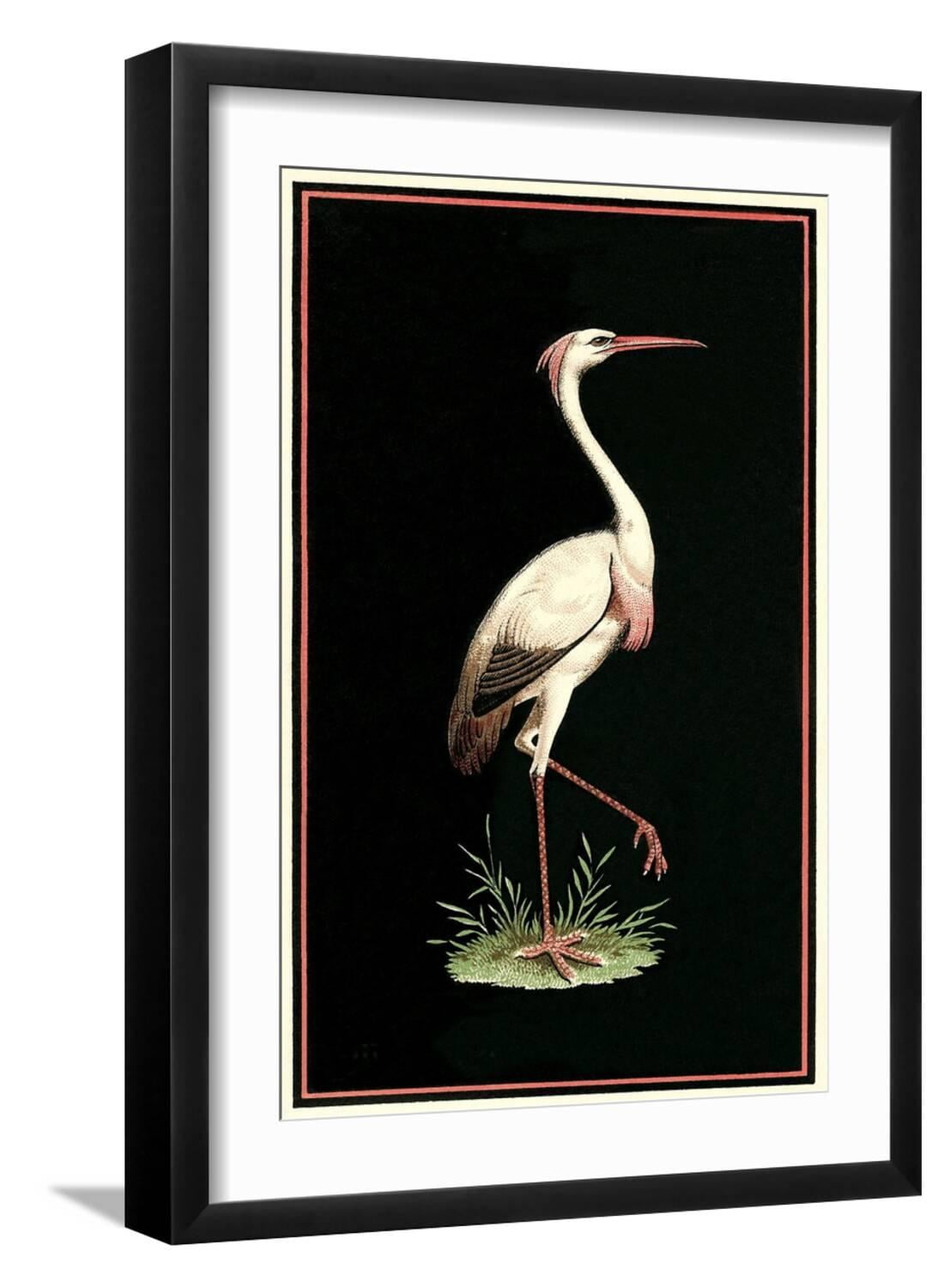 Art.com Crane on Black Background Art Print, Black Frame Wall Art, 17" x 23"