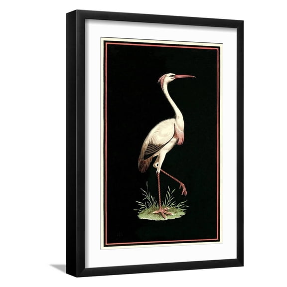 Art.com Crane on Black Background Art Print, Black Frame Wall Art, 17" x 23"